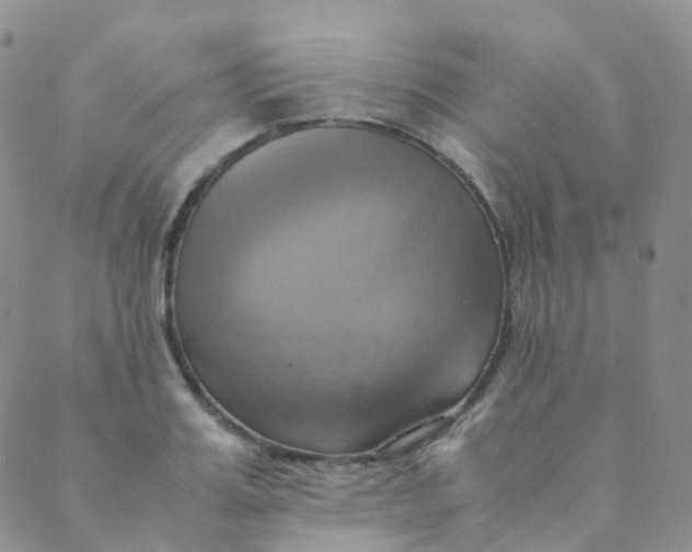 X0000089410987200707061249