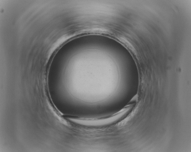 X0000089410989200707061249