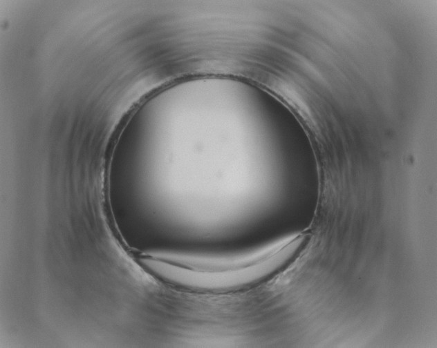 X0000089410992200707061249