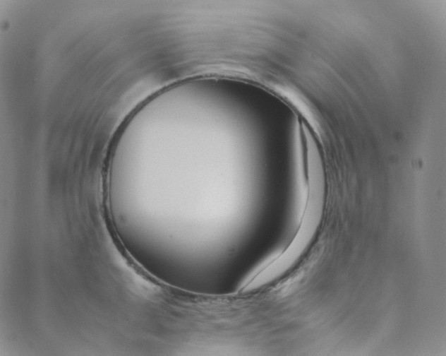 X0000089410999200707061249