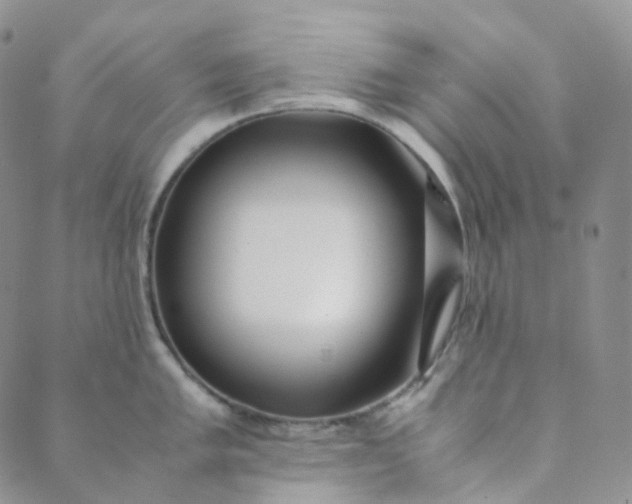 X0000089411005200707061249