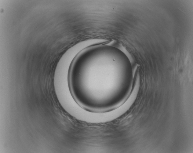 X0000089411010200707061248