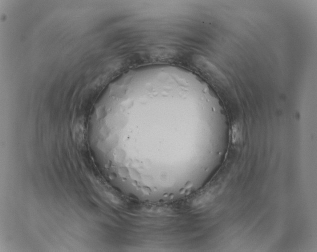 X0000089411011200707061248