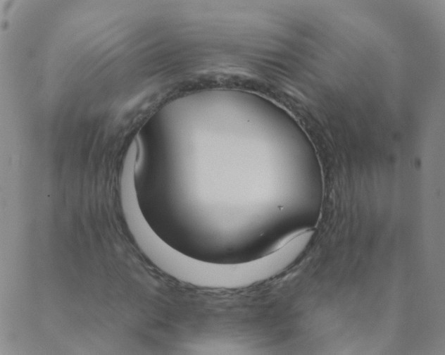 X0000089411014200707061248