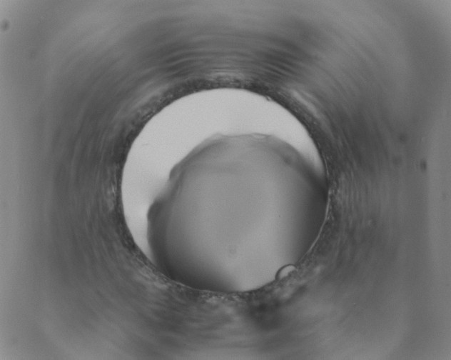 X0000089411015200707061248
