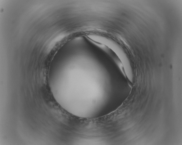 X0000089411016200707061248