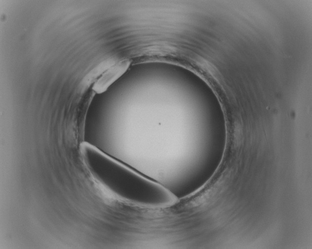 X0000089411018200707061248