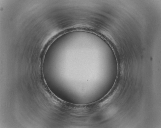 X0000089411021200707061249