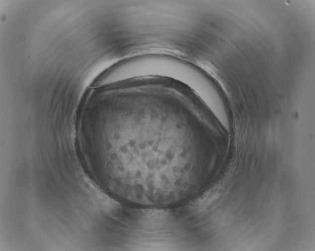 X0000089411024200707061249