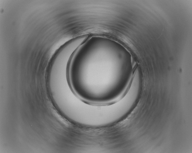 X0000089411026200707061249