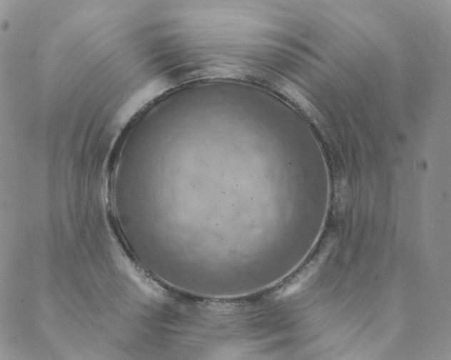 X0000089411034200707061249