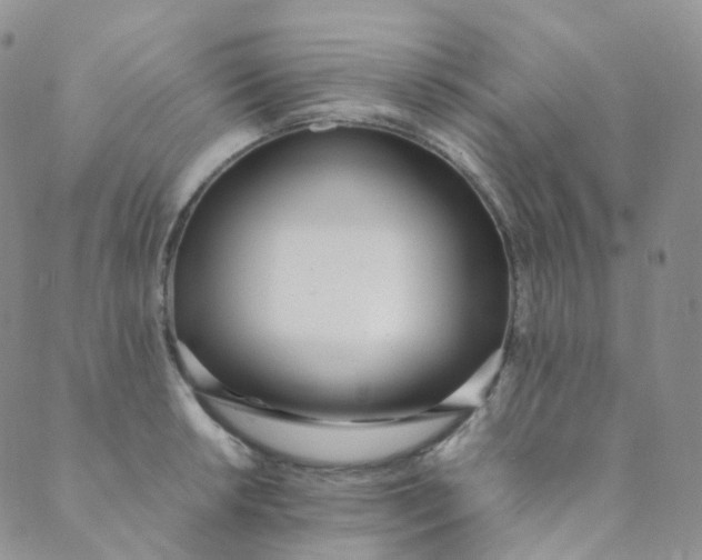 X0000089411042200707061249