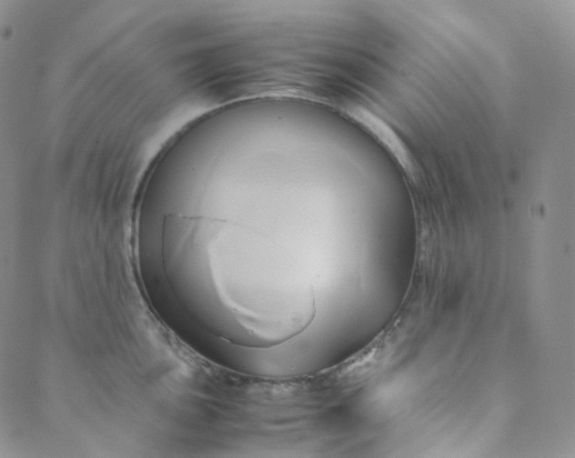 X0000089411051200707061249