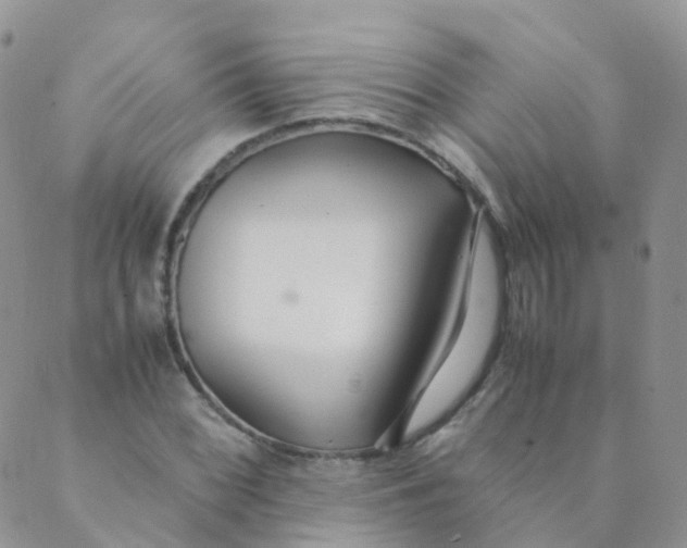 X0000089411068200707061248