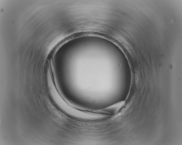 X0000089411069200707061248