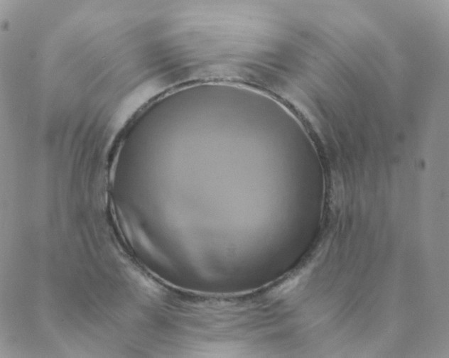 X0000089411075200707061248
