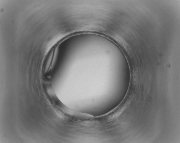X0000089411077200707061248