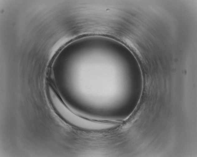 X0000089411085200707061248
