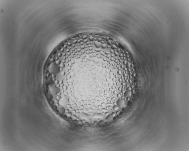 X0000089411095200707061248