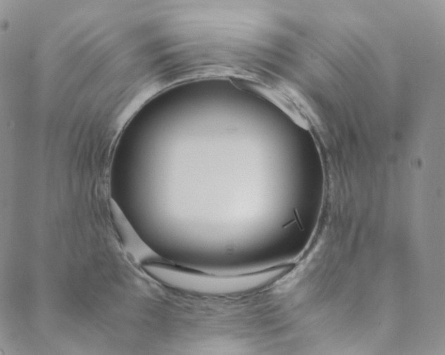 X0000089411097200707061248