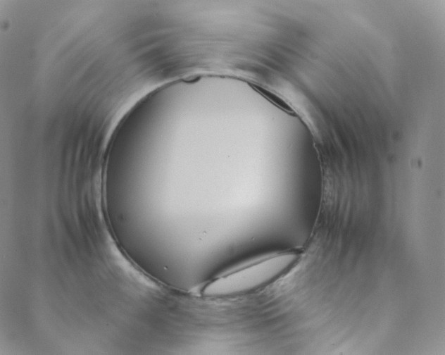 X0000089411100200707061248