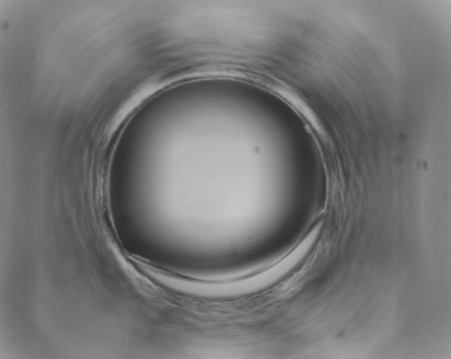 X0000089411101200707061248