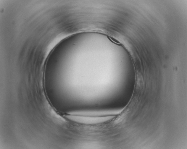 X0000089411102200707061248