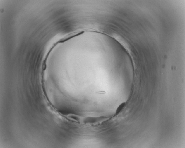X0000089411104200707061248