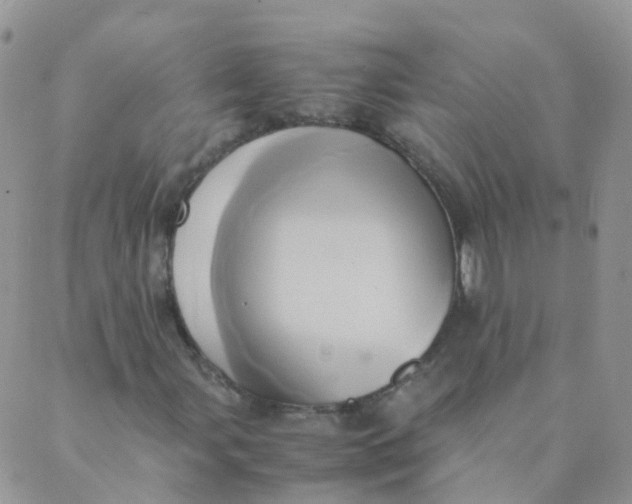 X0000089411107200707061247