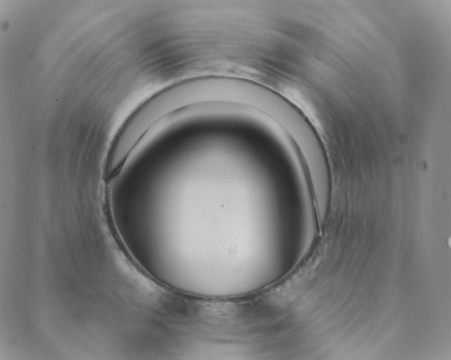 X0000089411136200707061247
