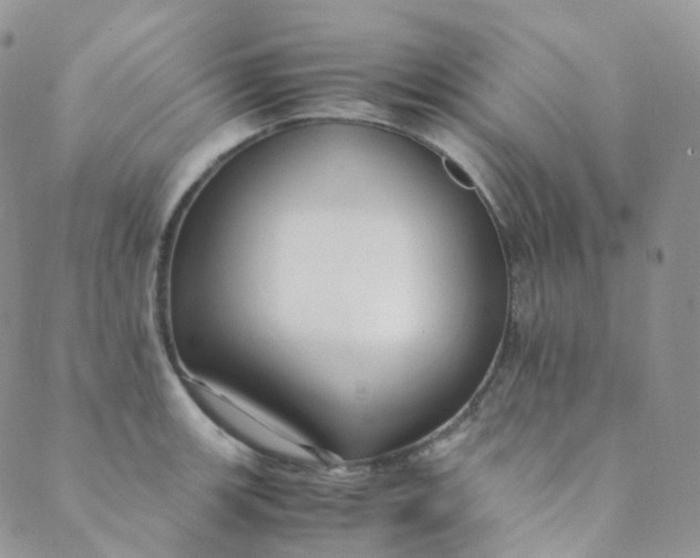 X0000089411139200707061247