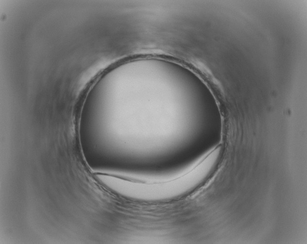 X0000089411167200707061247