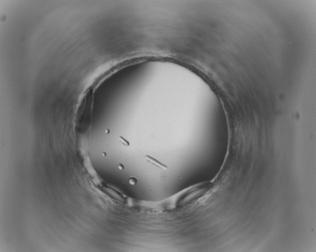 X0000089411168200707061247