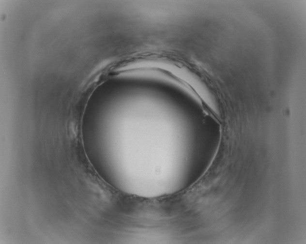 X0000089411206200707061245