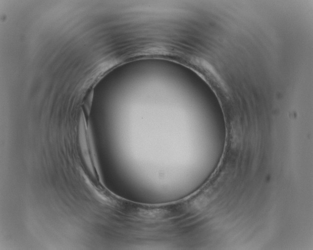 X0000089411225200707061246
