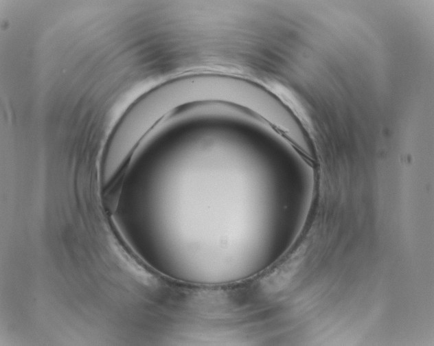 X0000089411238200707061246