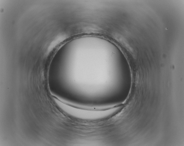 X0000089411261200707061245