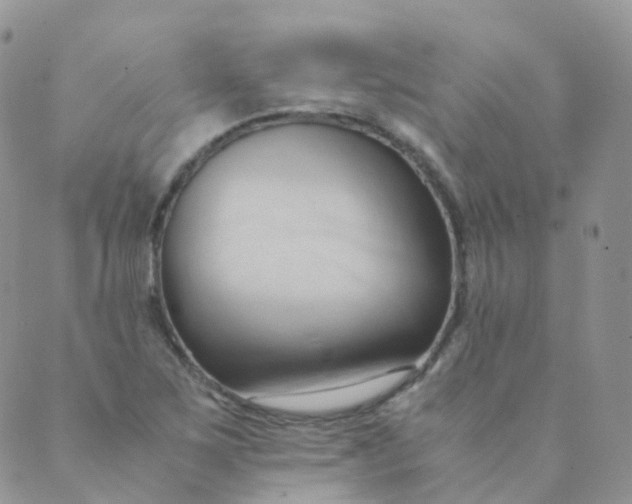 X0000089411267200707061245