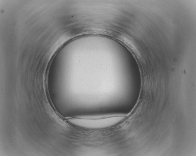 X0000089411283200707061245