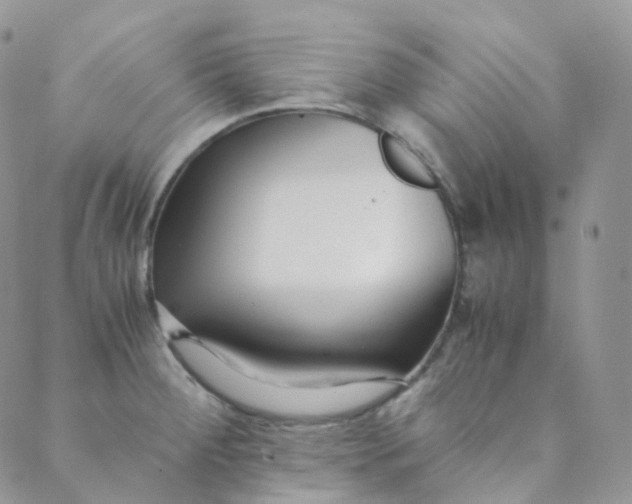 X0000089411284200707061245