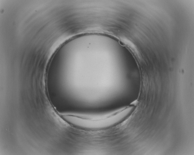 X0000089411288200707061245