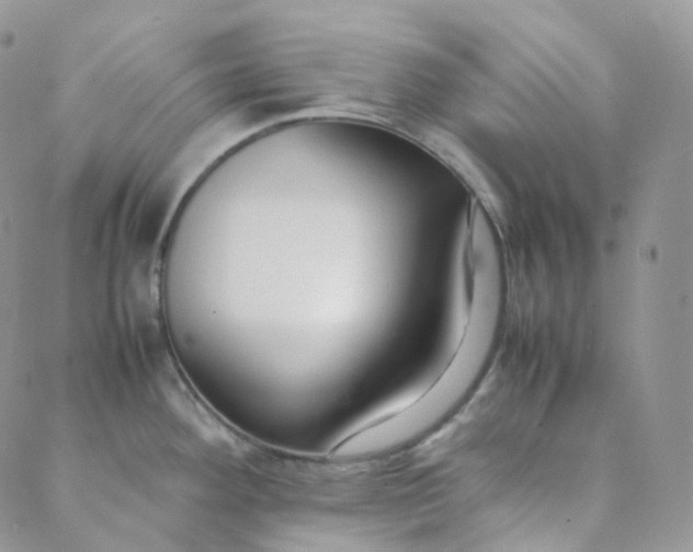 X0000089411292200707061245