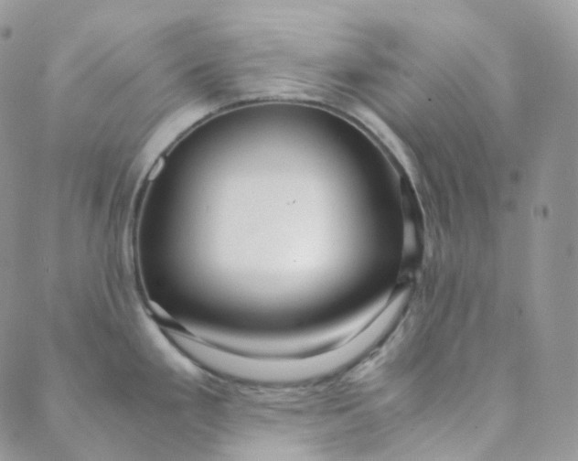 X0000089411293200707061245