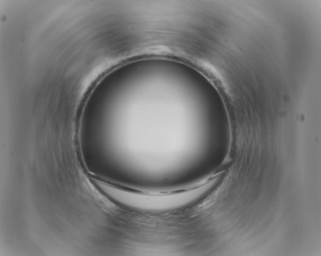 X0000089411326200707061244