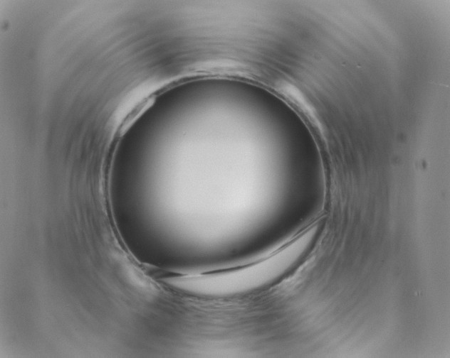 X0000089411336200707061244
