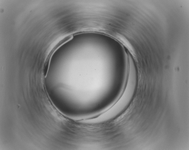 X0000089411340200707061244