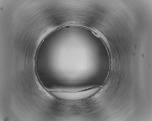 X0000089411341200707061244