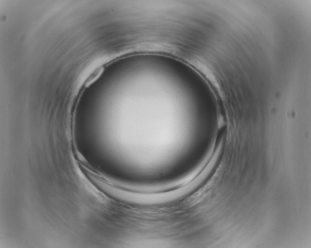 X0000089411342200707061244