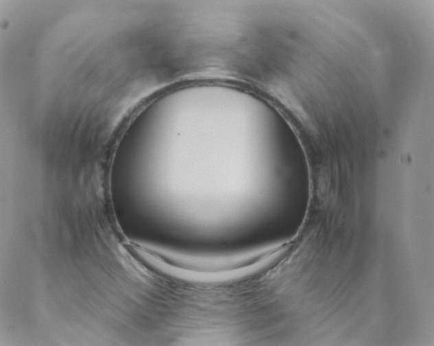 X0000089411356200707061244