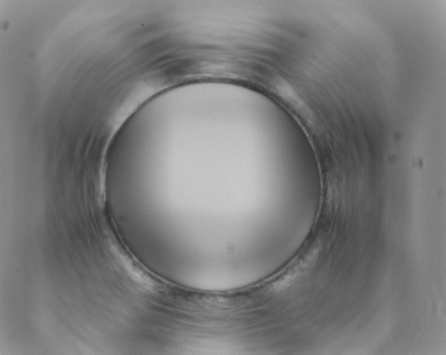 X0000089411370200707061243